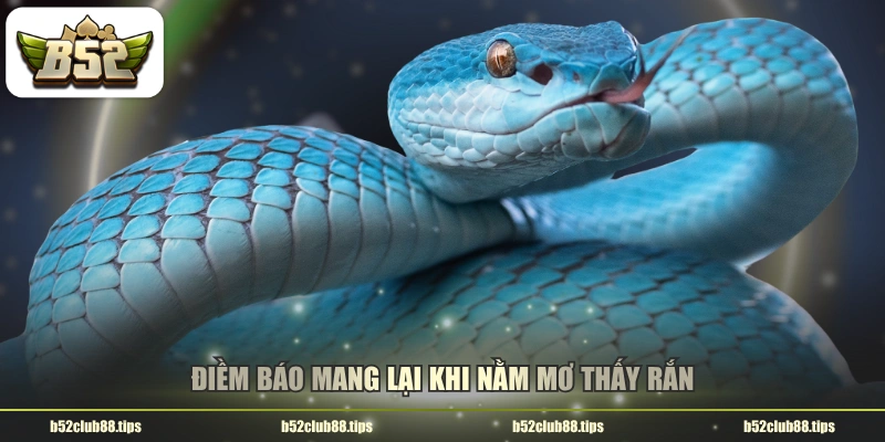 Điềm báo mang lại khi nằm mơ thấy rắn