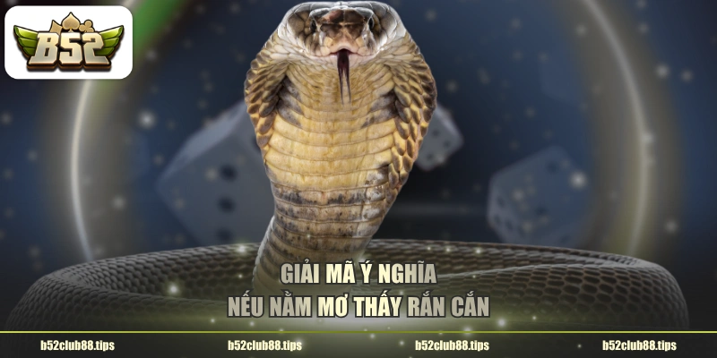 Giải mã ý nghĩa nếu nằm mơ thấy rắn cắn