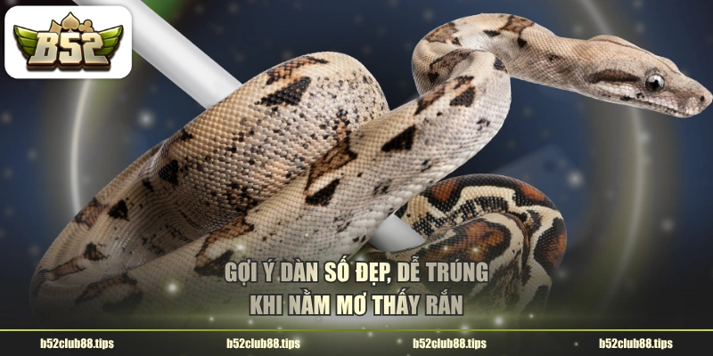 Gợi ý dàn số đẹp, dễ trúng khi nằm mơ thấy rắn